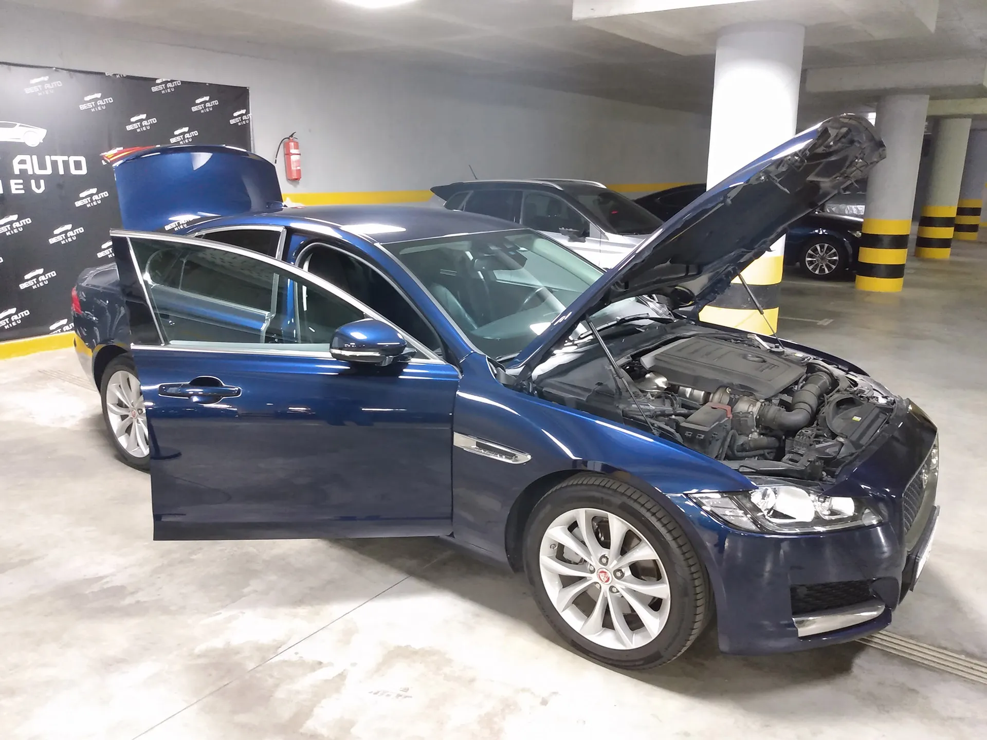 СТО  TESTCAR Service